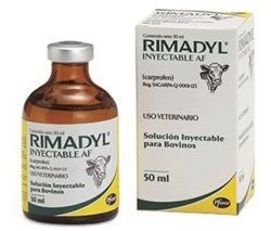 RIMADYL
