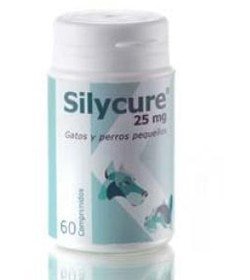 SILYCURE