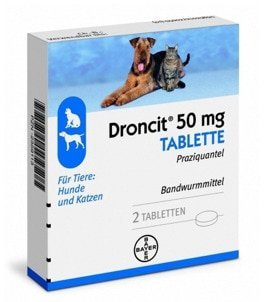 DRONCIT