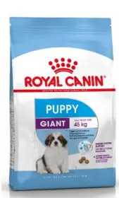 Pienso ROYAL CANINE PUPPY GIANT 15KG: Nutrición Óptima para Cachorros de Razas Gigantes