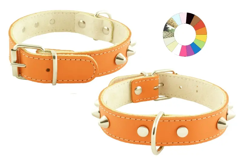 Collar Mountain CO1F VL: Elegancia y Comodidad para Mascotas 35-41 cm
