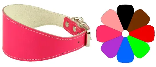 Collar Ajustable para Galgo en Color Celeste - Talla 22-32 cm