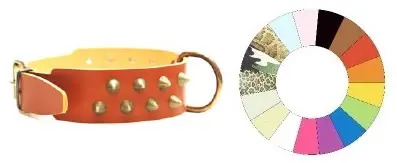 Collar Bull-Hard Cono2F MR 3: Resistente y Ajustable para Perros Grandes (40-49 cm)