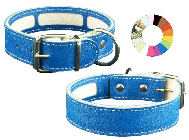 Collar Carrier MIMT 27-35 L350 A30: Innovador y Versátil para Mascotas