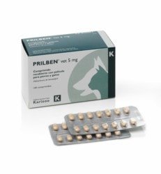 PRILBEN VET