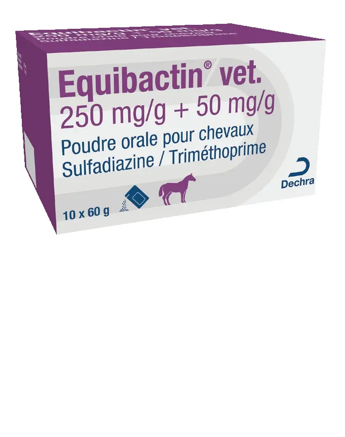 EQUIBACTIN POLVO ORAL 250MG + 50MG 10X60GR
