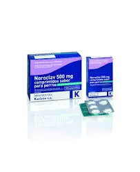 NOROCLAV PERRO 500MG 25 Comprimido