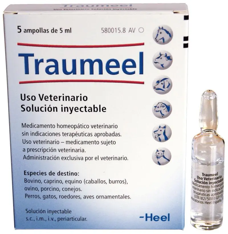 TRAUMEEL SOLUCION INYECTABLE 5X5ML (NDR)