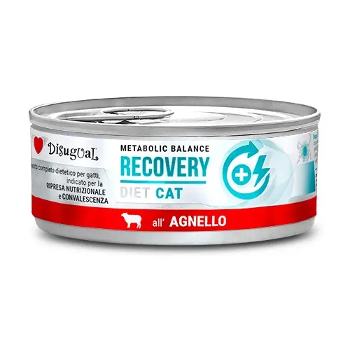 DISUGUAL Dieta Recuperación para Gatos - Comida Húmeda de Cordero 12x85g