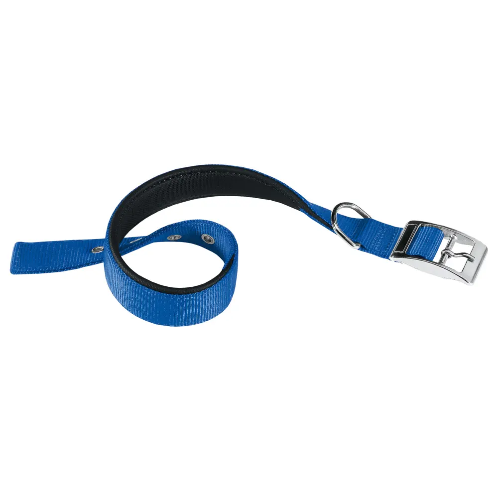 Collar para Perros FERPLAST Daytona C20 43 Azul - Comodidad y Estilo
