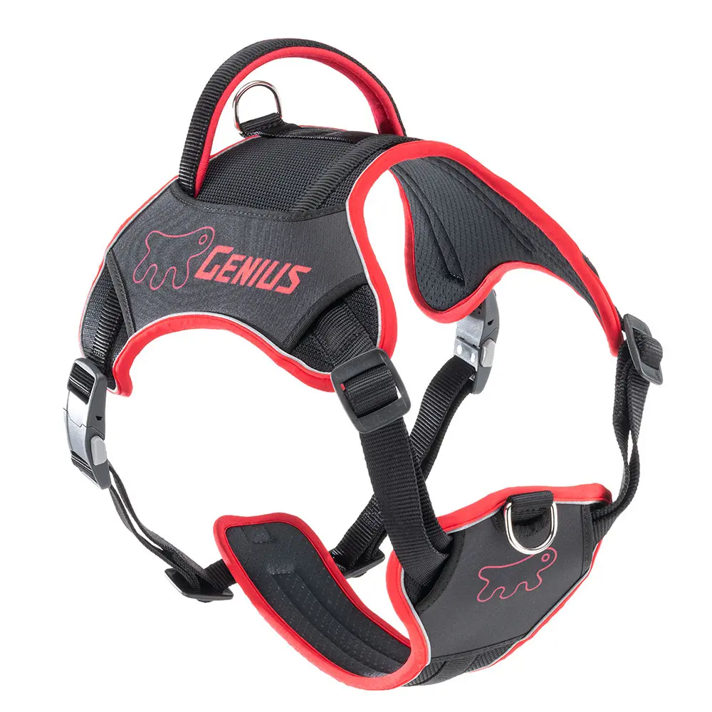 Arnés de Nylon Extra Grande Rojo FERPLAST Genius para Perros - Comodidad y Seguridad