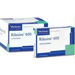 RILEXINE MASTICABLE 600MG 140 Cds